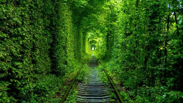 Tunnel of Love