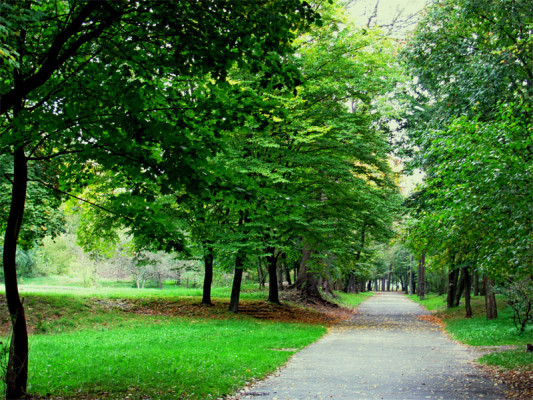 outdoor activities in kiev - pushcha vodytsia