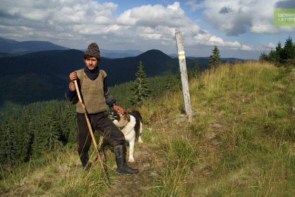 Hutsul shepherd